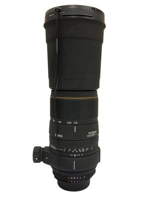 シグマ 170-500mm F5-6.3 APO DG ニコン用 【公式通販】