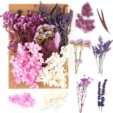 Nat&uuml;rliche Getrocknete Blumen Basteln DIY Harz Scrapbooking Violett