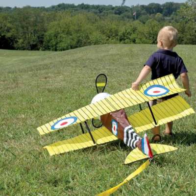 Aircraft ( Assortment ) Premier Kites