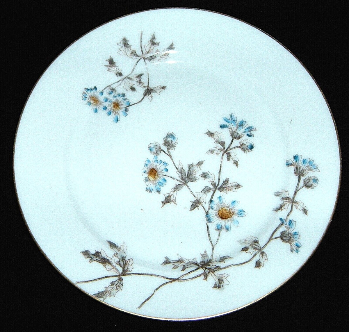 Antique Charles Field Haviland Limoges, France Schleiger #1311