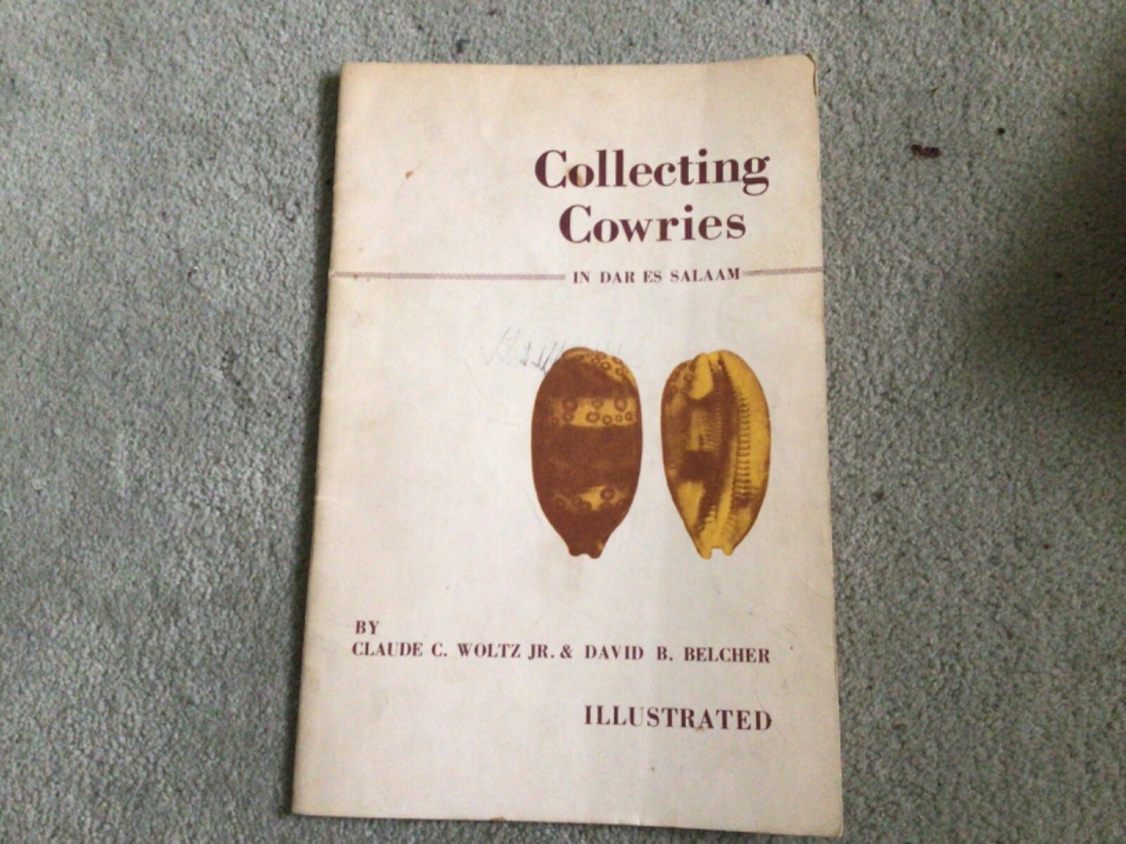 Collecting Cowries in Dar es Salaam 1967 Illustrated Guidebook Shells