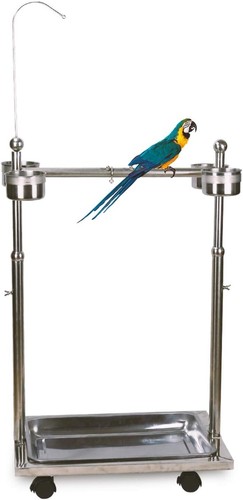 Metal Bird Feeder Stand Adjustable Height Rolling Bird Perch Parrot Playstand