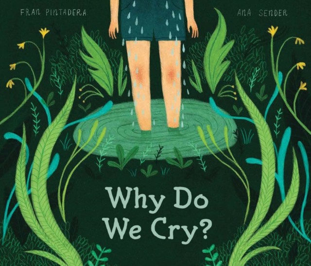 Why Do We Cry? by Fran Pintadera 9781525304774 NEW Free UK Delivery - Image 4