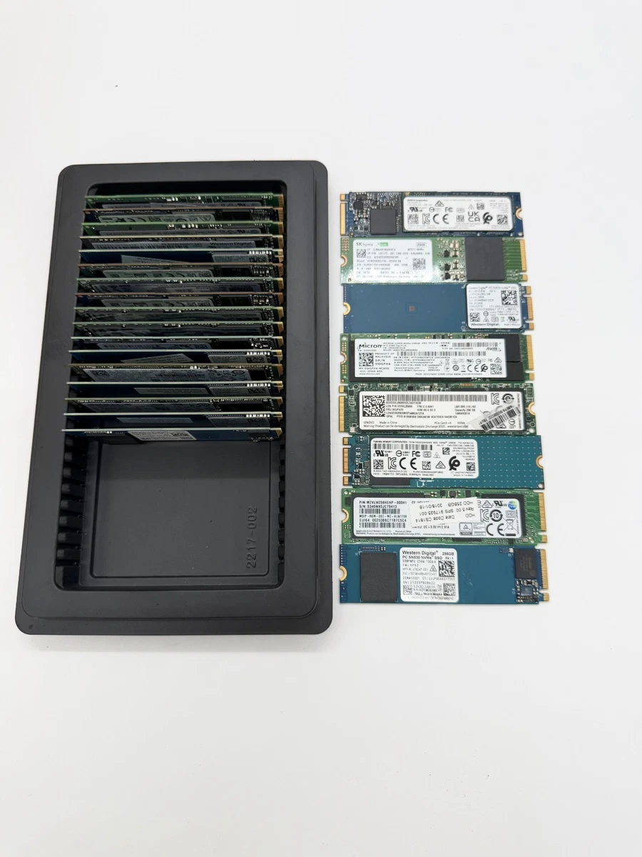 SAMSUNG M.2 NVMe SSD 256GB 5枚セット Samsung M.2 Interface 256 GB Solid State Drives | Updated Oct 2026