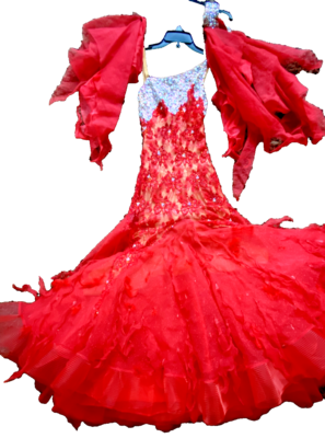 silvia design ballroom dresses Home