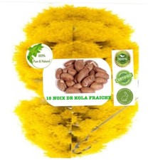 NOIX DE PETIT COLA FRAICHE EXCELLENT BIO SANTÉ ( 15 NOIX )