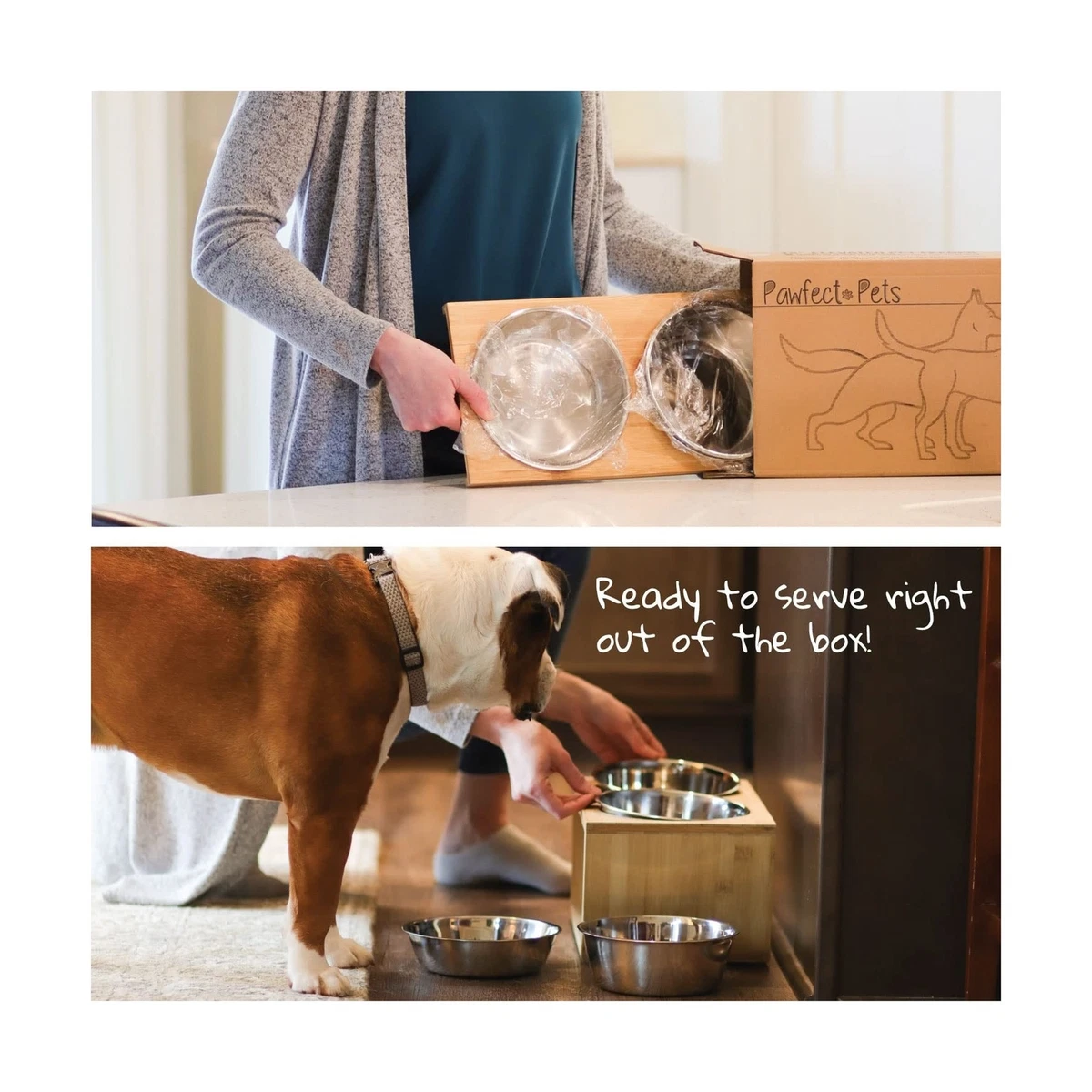 Pawfect pets top elevated pet feeder
