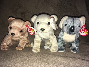 almond the bear beanie baby