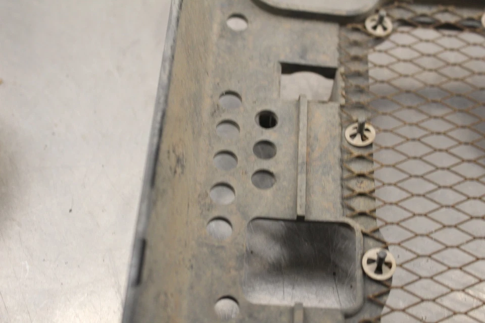 Suzuki King Quad 300 LT-F4WDXS 1995 rejilla radiador protector W806 Foto 3 de 4