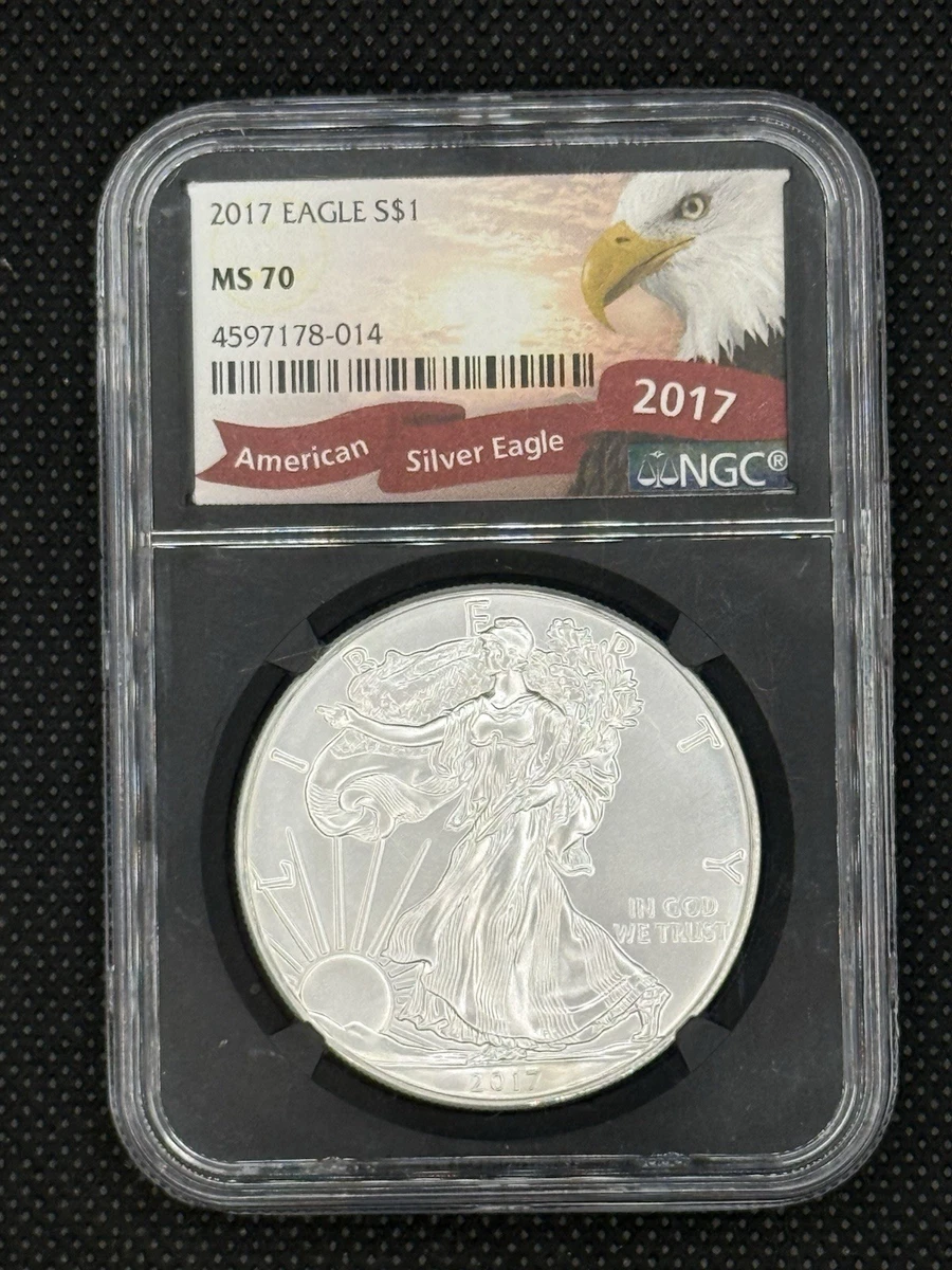 American Eagle MS 70 Graded 2013 Silver Bullion Coins for sale | eBay