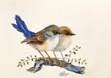 Blue - breasted Fairy Bird Watercolor Original Painting
