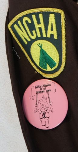 Gilet Scout Michigan Vintage Scout Lotto Distintivi 5 Gilet Totale - Foto 12 di 24