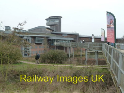 Foto - Wildfowld and Wetlands Trust - Slimbridge c2013