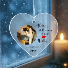 Cat or Dog Memorial Acrylic Heart Ornament. Christmas Gift