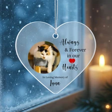 Cat or Dog Memorial Acrylic Heart Ornament. Christmas Gift