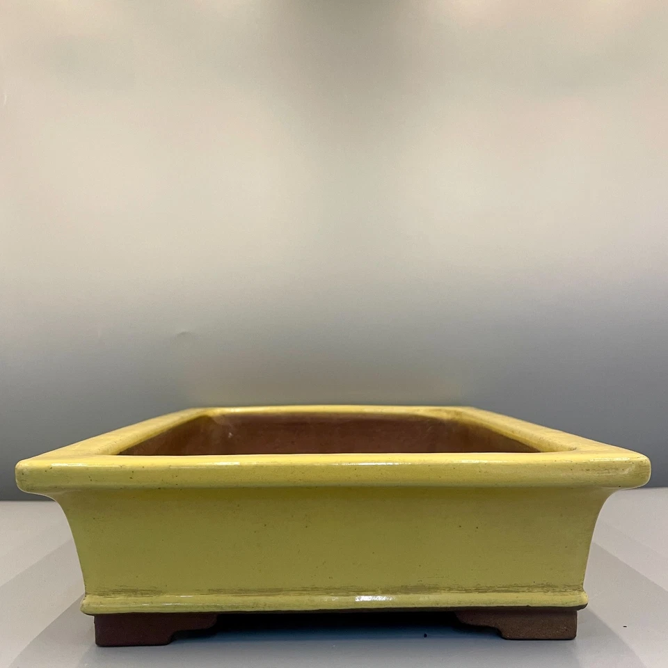 Japanese Bonsái pots "YAMAAKI 山秋" W:12.4in/L:9.3in/H:2.8in From JAPAN #165 - Image 3 of 4