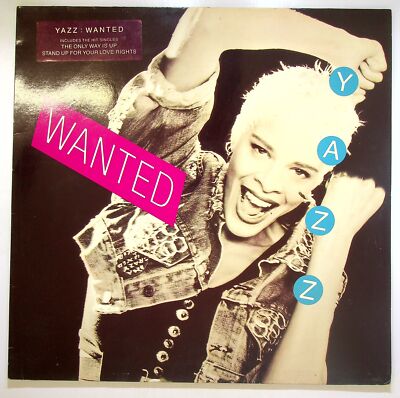EBOND Yazz - Wanted Vinyl - Big Life - YAZZ LP 1 V106030