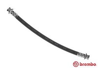 Bremsschlauch Brembo T 79 031 FüR HT FT Vitara Suzuki GT 1 4X4 SQ416 SQ420 TA52