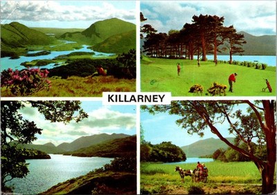 Killarney Ireland Lakes and Fells Scenic Views Continental Postcard C060