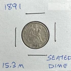 1891 Liberty Seated Silver Dime