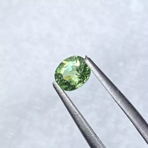 TSAVORITE GARNET, 0.69 CTS, OVAL 5.5 X 4.8 X 3.4 MM, LITTLE BEAUTY - Picture 3 of 5