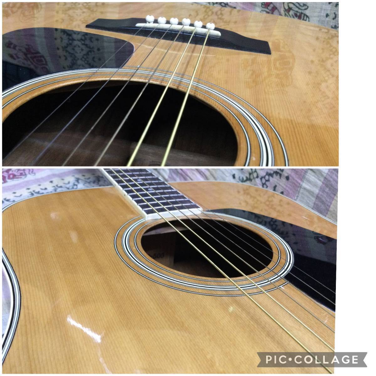 Acoustic Guitar Morris MD-505 Dreadnought Natural Spruce Top Acoustic Guitar Morris MD-505 Dreadnought Natural Spruce Top