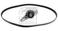 Keilrippenriemensatz Febi Bilstein 100306 FüR Express Logan Renault MCV Dacia 1