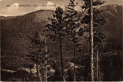 AK Vizzavona - Die Hotels und der Wald (1326449)