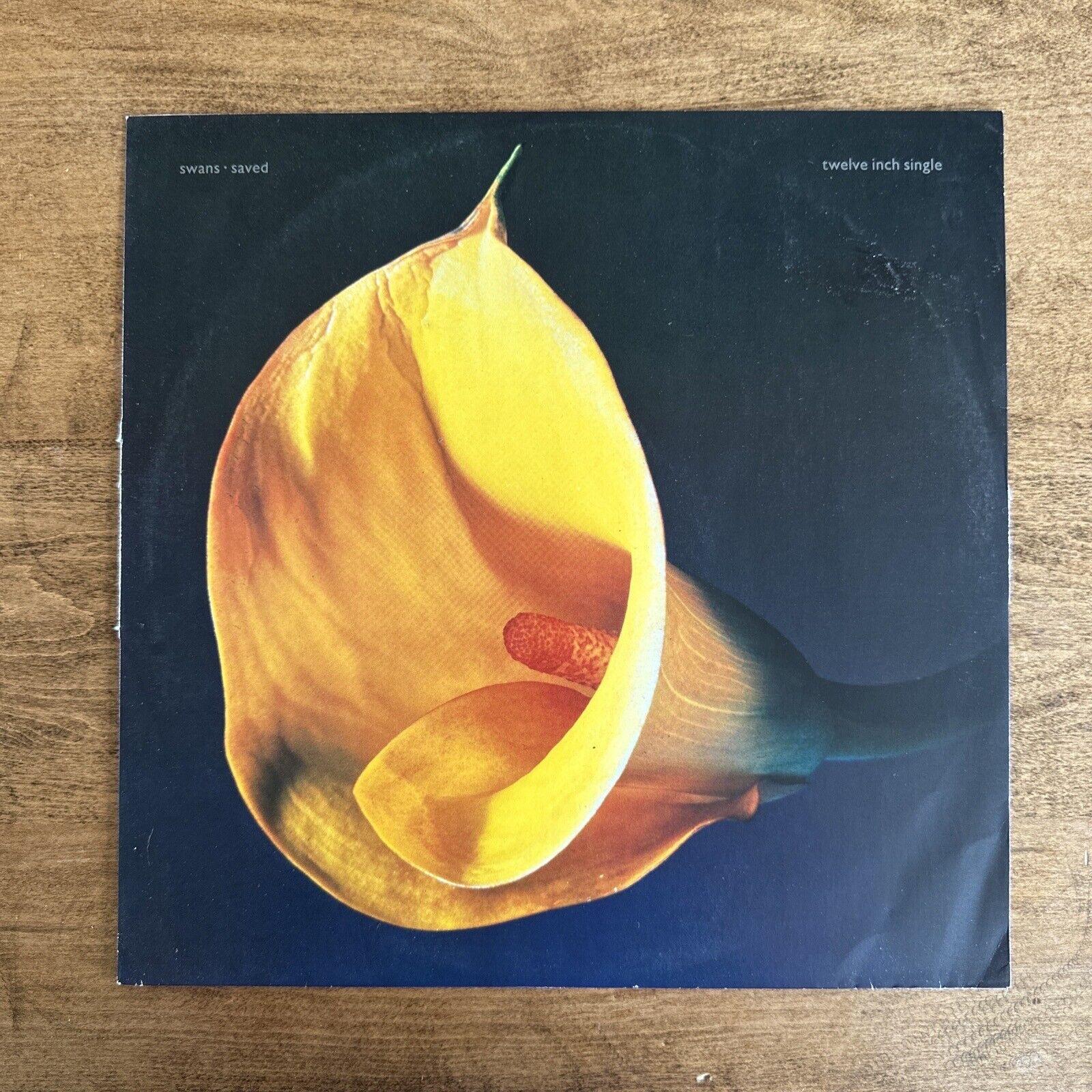 Swans (Saved) 1989 - Vinyl Record