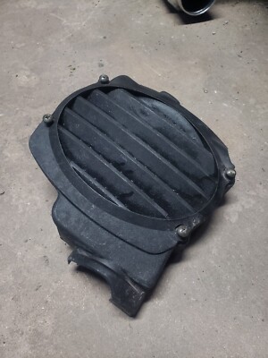 Honda Ruckus Radiator Cover | eBay