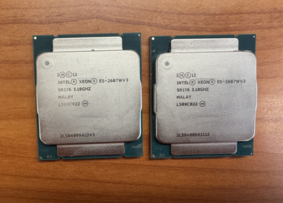 Matched pair Intel Xeon E5-2687W v3 10-Core 3.10GHz LGA2011-3 SR1Y6