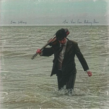 WILLIAMS, Evan - The View From Halfway Down - Vinyl (clear vinyl LP)