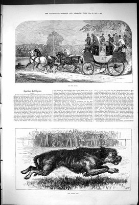 Original alter antiker Druck Transportkutsche Pferde 1875 Derby Hunderennen Sport