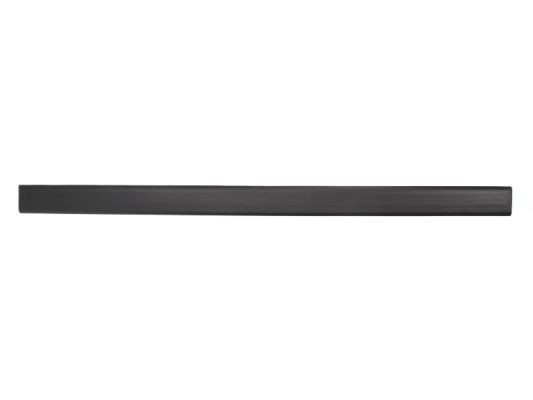 Right Front BLIC 5703-04-2530572P Trim/Protection Strip, wing for FORD