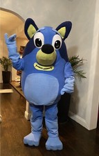 Bluey Adult Costume