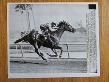 Original WINDY CITY II Jockey EDDIE ARCARO 2-22-52 AP PHOTO SANTA ANITA DERBY