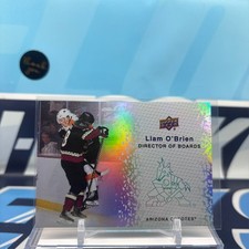 2023-24 Upper Deck #DB-7, LIAM O'BRIEN SP 🔥🔥🔥 Director of Boards Insert