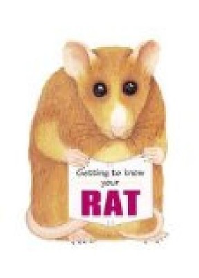Getting to Know Your Rat