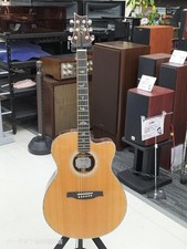 Eléctrico acústico PAUL REED SMITH SE A60E
