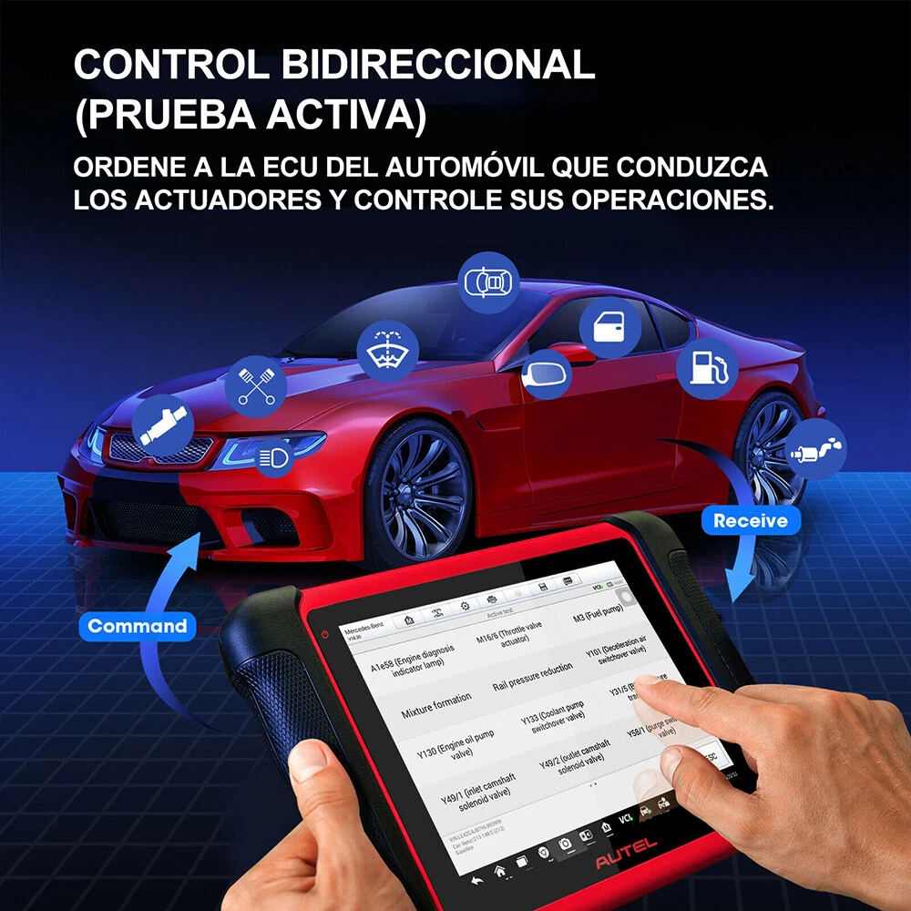 Imagen 7 de 12