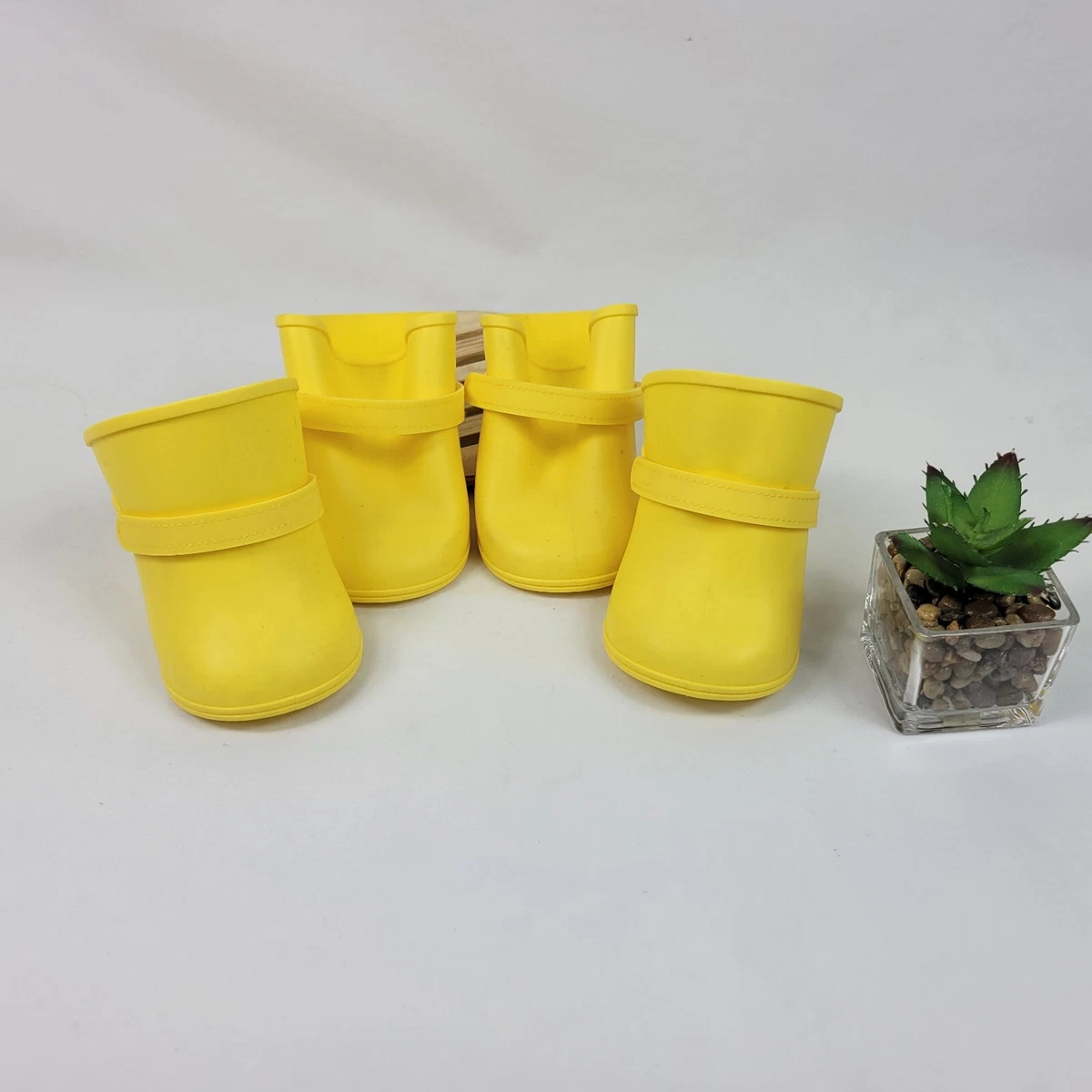 Petco shoes hotsell