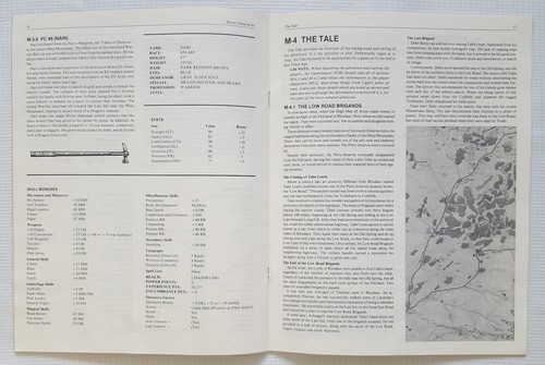 MITTELERDE ROLLENSPIEL BOX SET 1.AUFLAGE REVIDIERT 1986 MIT WÜRFELN! - Bild 12 von 13