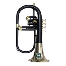 flugelhorn valve3