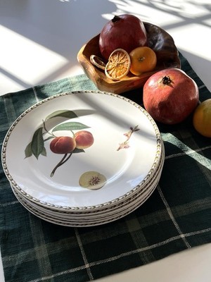Set of 8 Queens Royal Horticultural Society Hookers Fruit Dinner Plates 11 