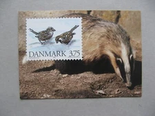 DENMARK, ill. prestamped PC 1994, mint, bird house sparrow