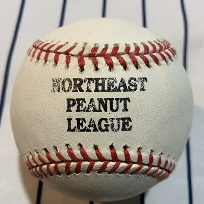 Rawlings Northeast Peanut League Devlin League Baseball Ball