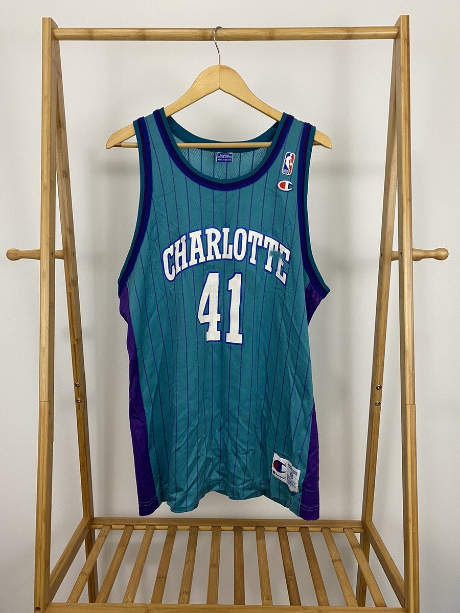 VTG Elden Campbell Charlotte Hornets NBA Pinstripe Basketball