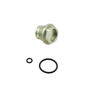 BMW S1000R S1000RR S1000XR HP4 Cam chain tensioner silver screw