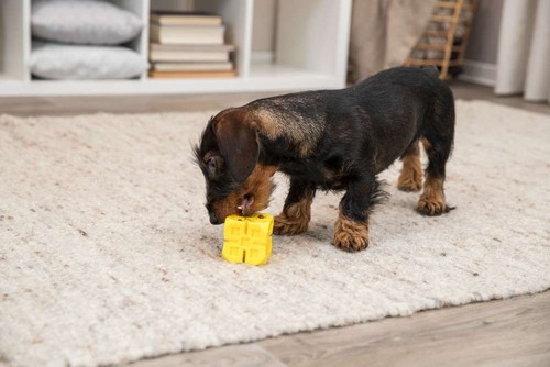 Gioco per cane in gomma duro resistente da addestramento nascondi snack Trixie - Foto 9 di 9