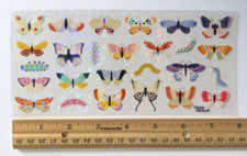 Violette Collection - CRYSTAL BUTTERFLIES CATERPILLARS - Sheet Stickers C242